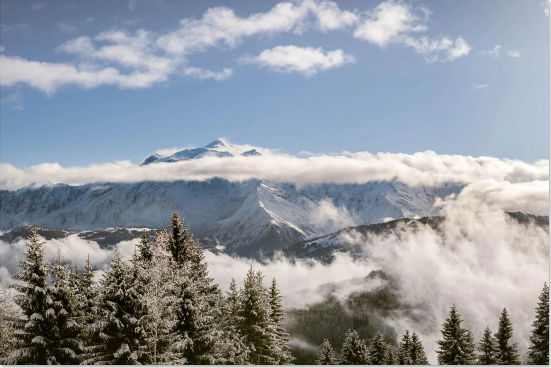 Photos of snow-covered fir trees, alpine forests and aerial views