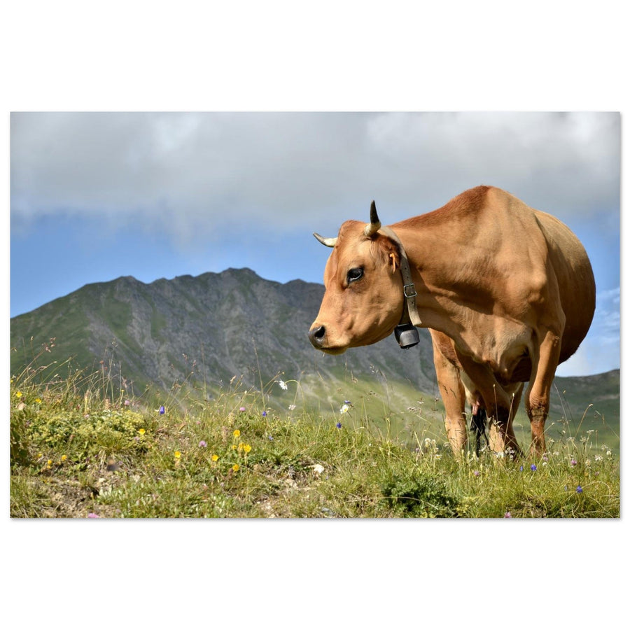 Photo d’une vache d’alpage dans les Alpes — tableau photo paysage de montagne en Alu Dibond, fabrication française