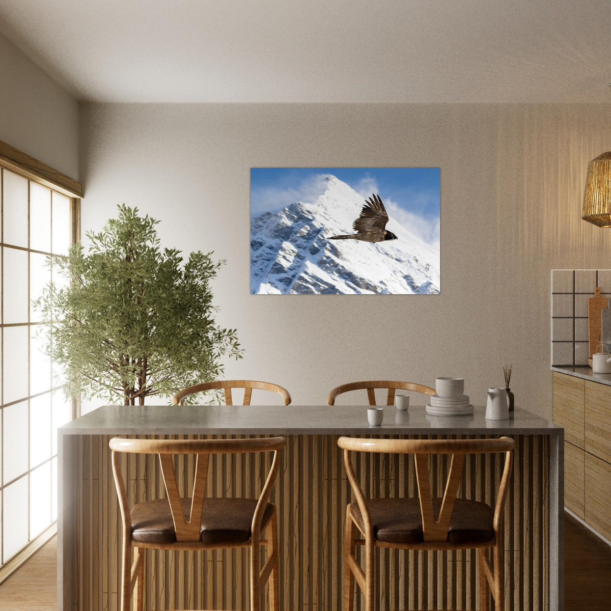 Photo d’un jeune gypaète barbu dans le ciel de la Vanoise — Fotodruck auf mattem Alu-Dibond