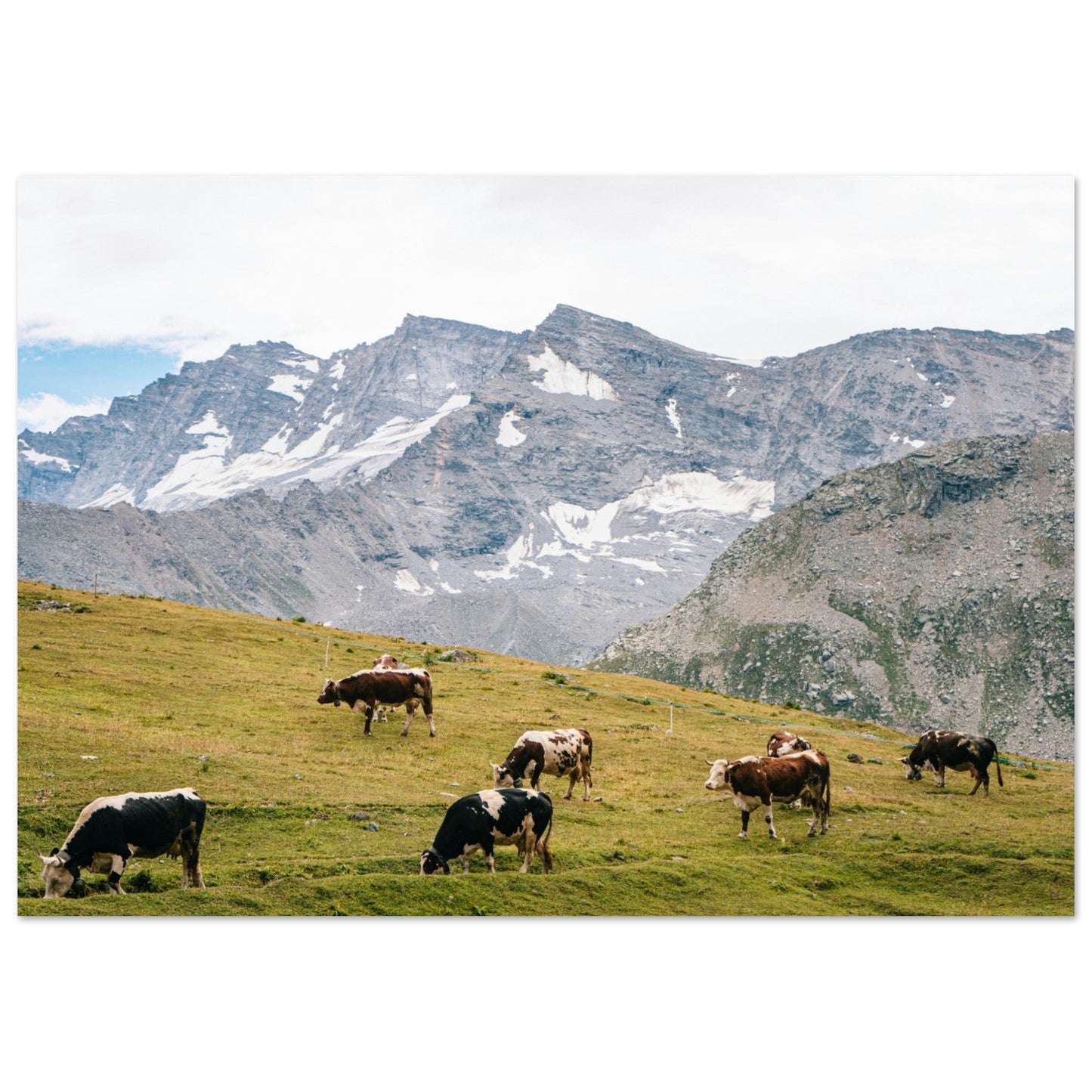 Vente Photo de vaches en Savoie #7 - Tableau photo paysage
