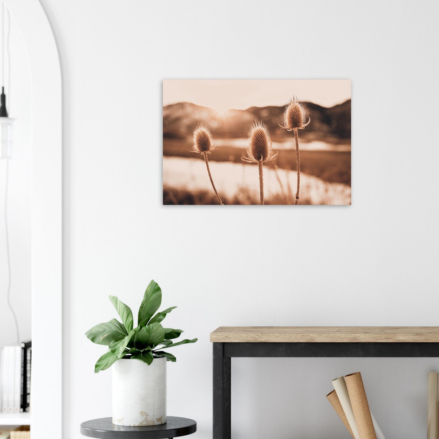 Tableau photo Photo d'un Chardons alpins au coucher du soleil — tirage aluminium Dibond mat, fabrication française, prêt à accrocher