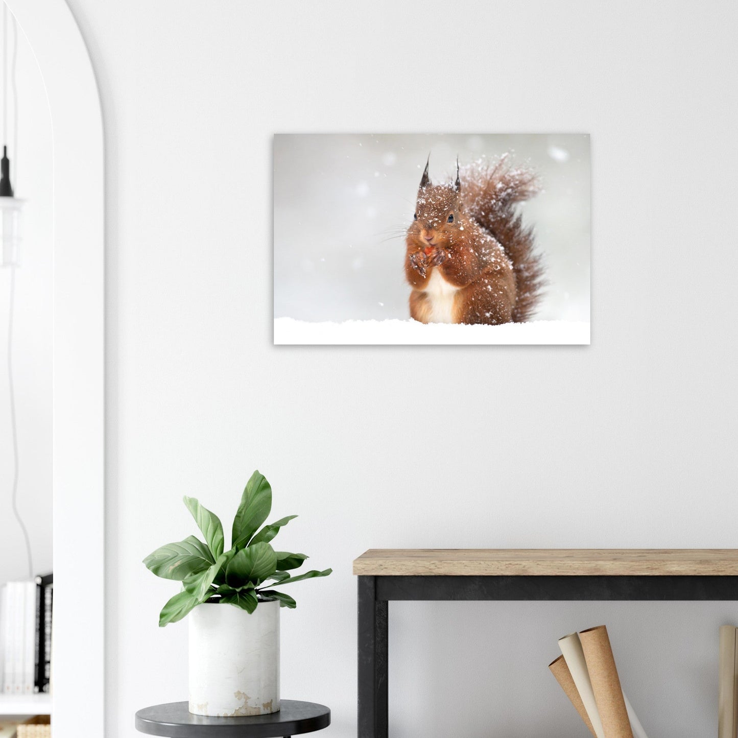 Vente Photo d'un écureuil dans la neige #1 - Tableau photo paysage