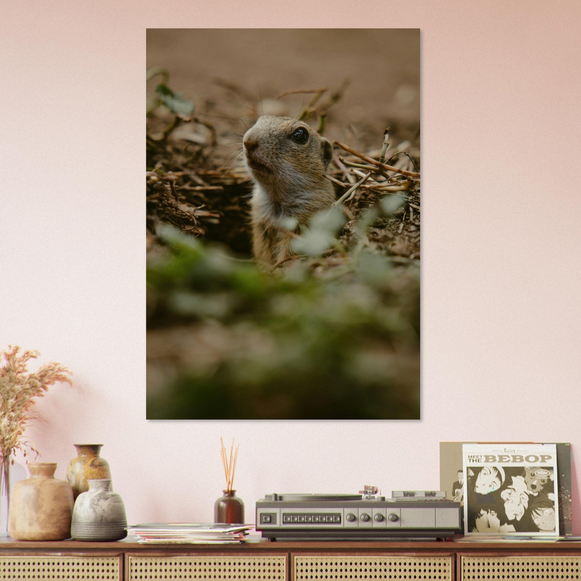 Vente Photo d'un marmotton, le bébé marmotte - Tableau photo paysage