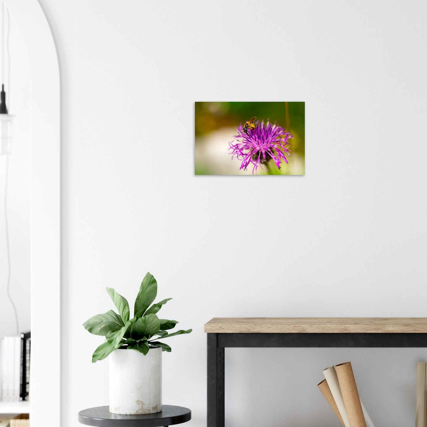 Tableau photo Photo d'une abeille sur un chardon, Alpes — tirage aluminium Dibond mat, fabrication française, prêt à accrocher