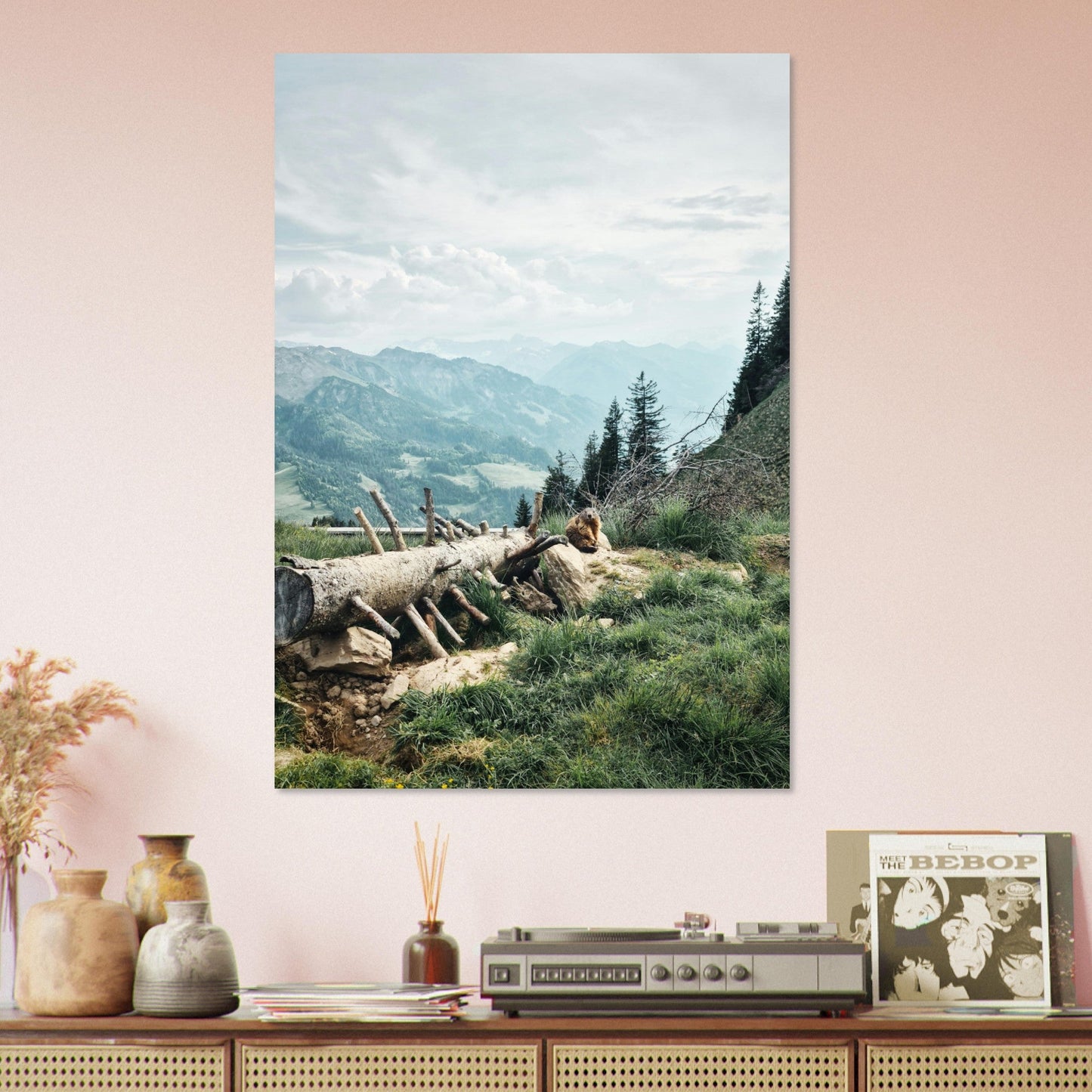 Vente Photo d'une marmotte dans les Alpes #1 - Tableau photo paysage