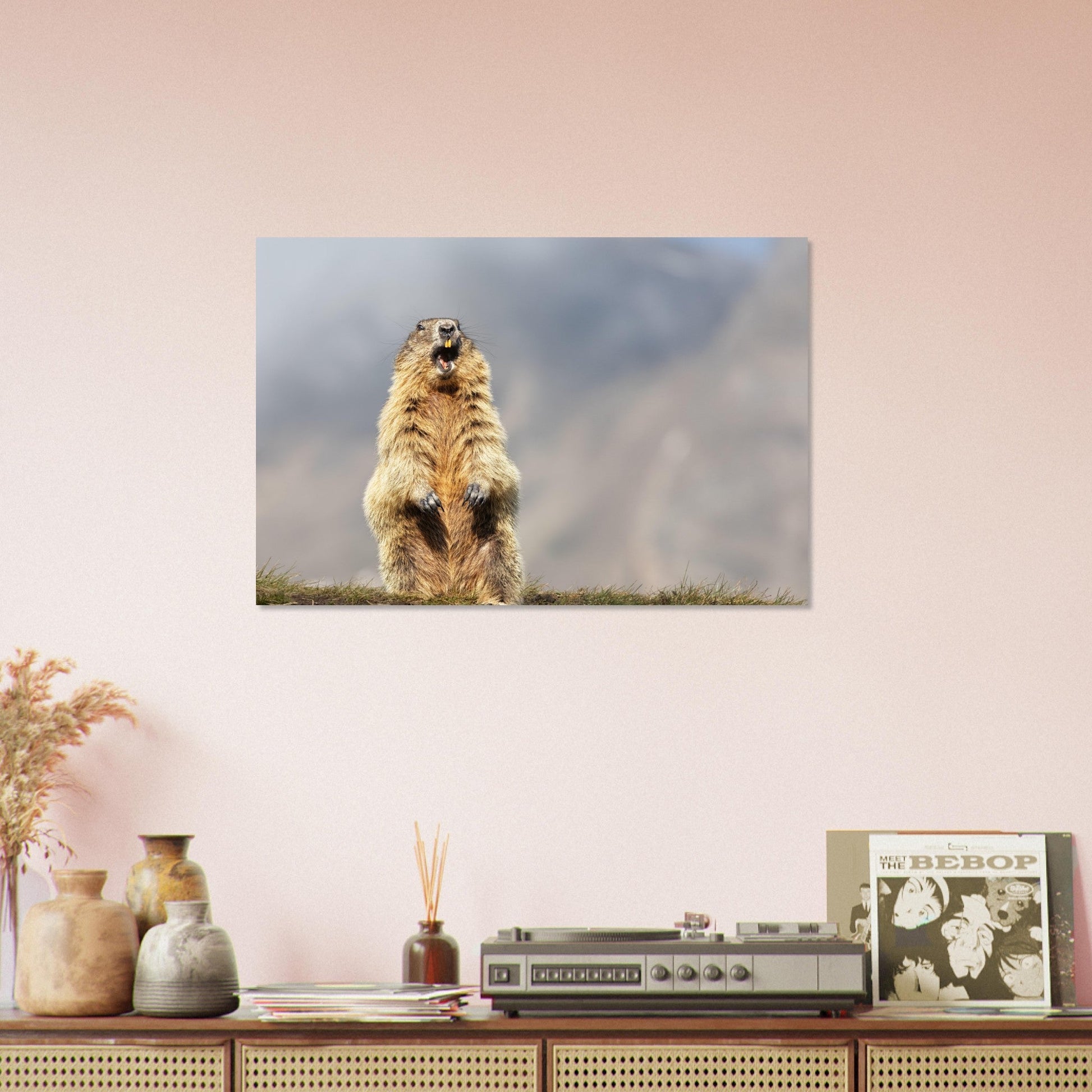 Vente Photo d'une marmotte dans les Alpes #10 - Tableau photo paysage