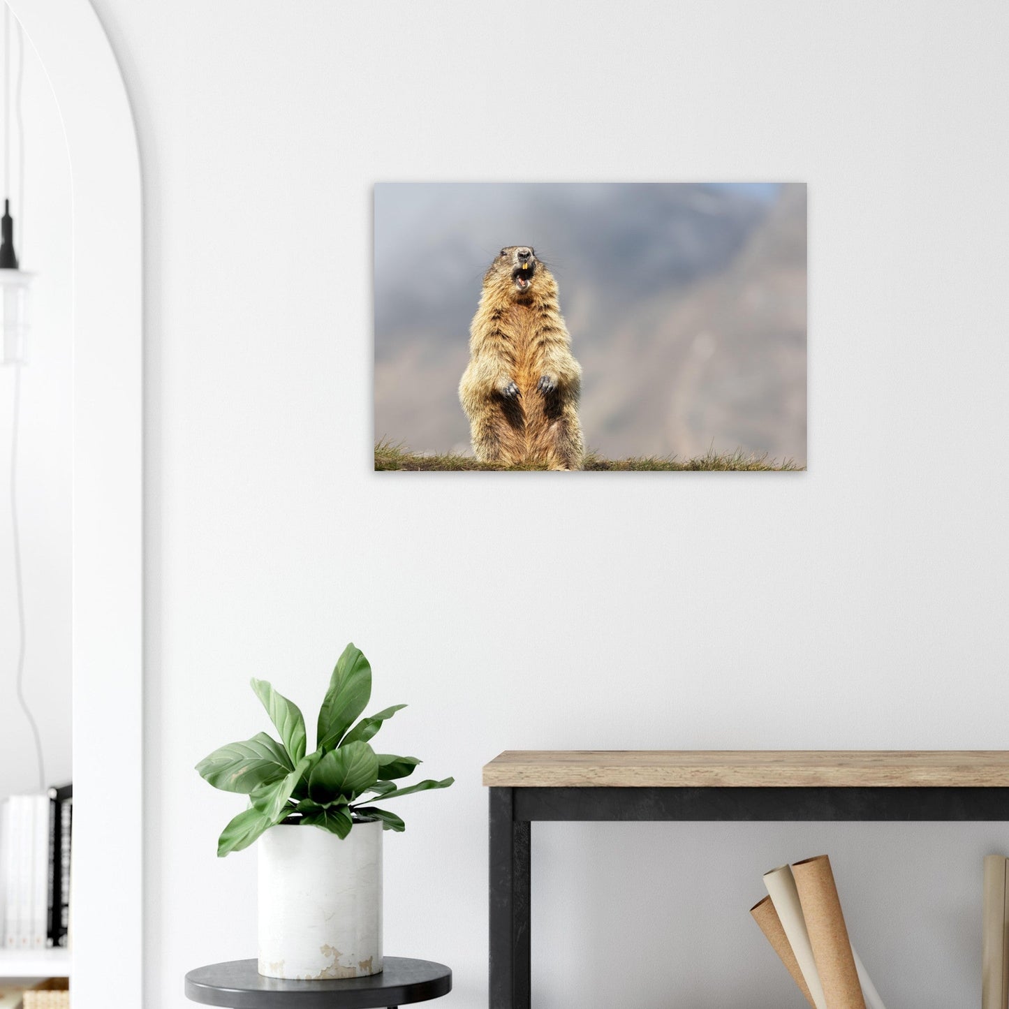 Vente Photo d'une marmotte dans les Alpes #10 - Tableau photo paysage