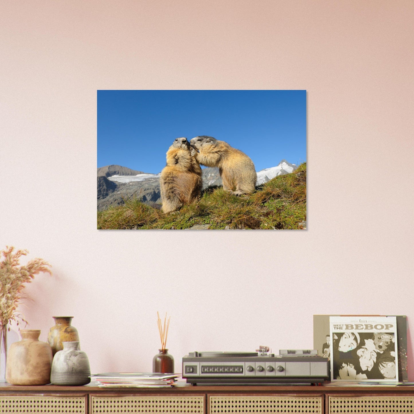 Vente Photo d'une marmotte dans les Alpes #11 - Tableau photo paysage