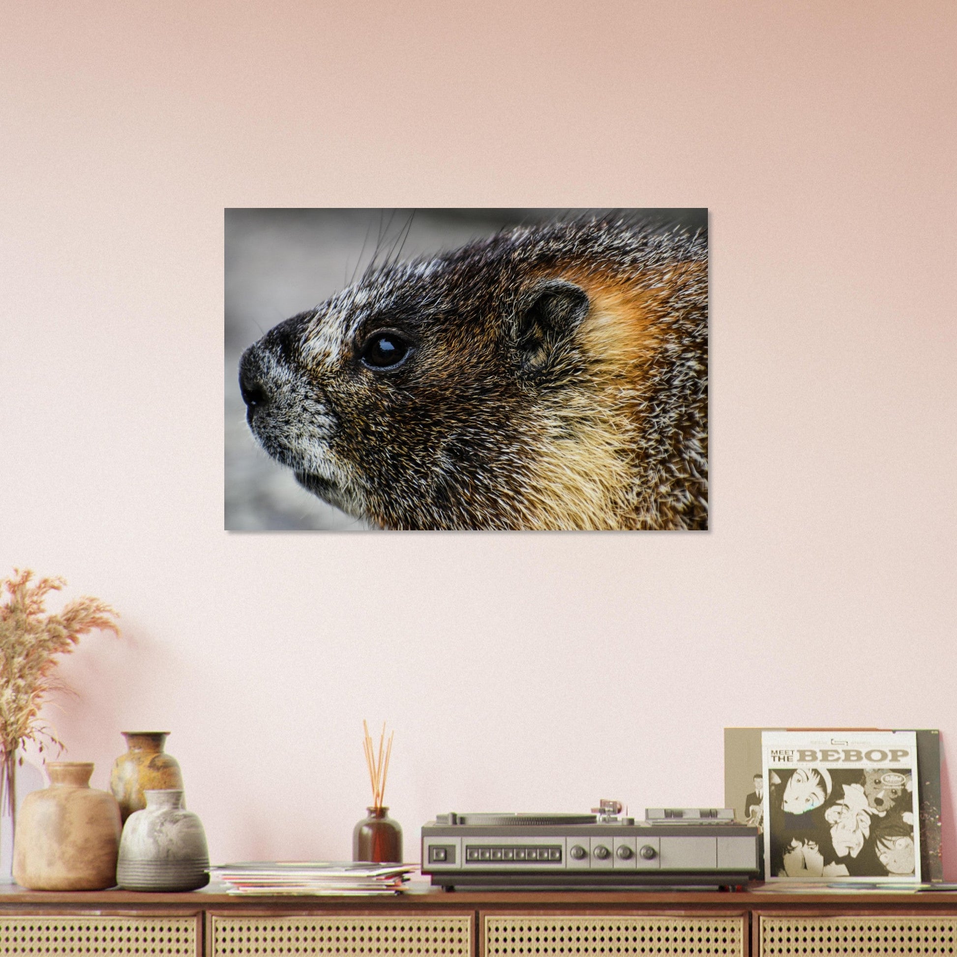 Vente Photo d'une marmotte dans les Alpes #3 - Tableau photo paysage