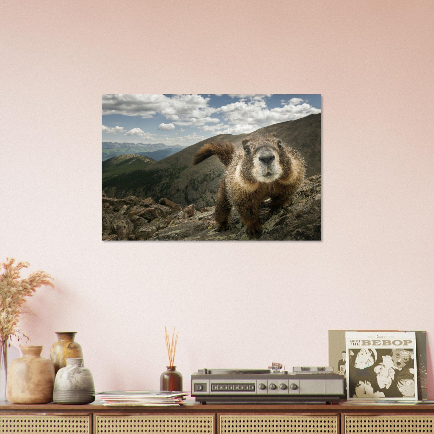 Tableau photo Photo d'une Marmotte curieuse en grand - angle — Alpes — tirage aluminium Dibond mat, fabrication française, prêt à accrocher