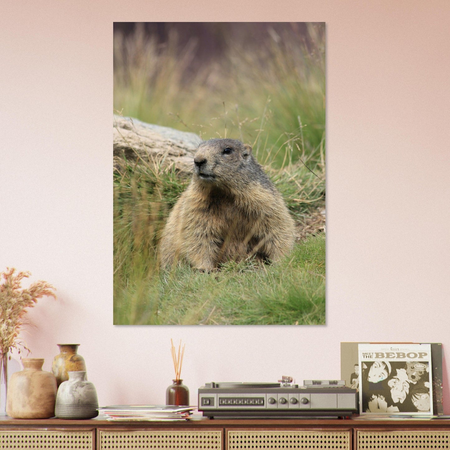Vente Photo d'une marmotte dans les Alpes #6 - Tableau photo paysage