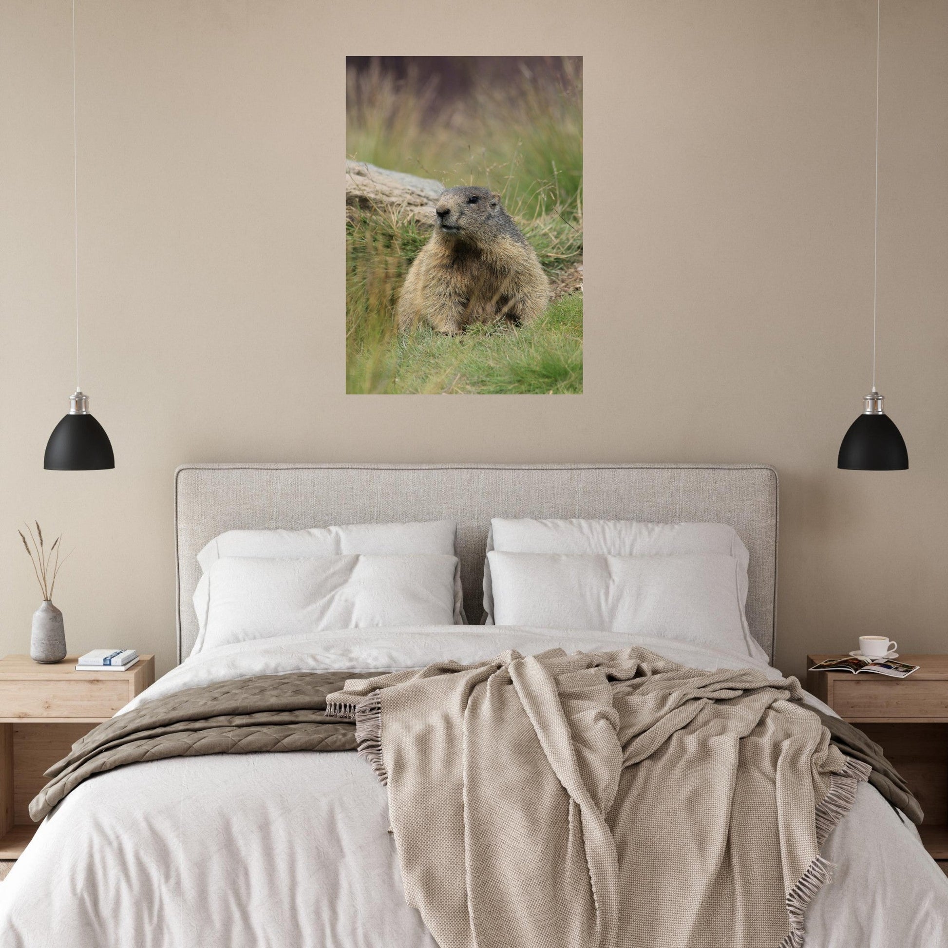 Vente Photo d'une marmotte dans les Alpes #6 - Tableau photo paysage
