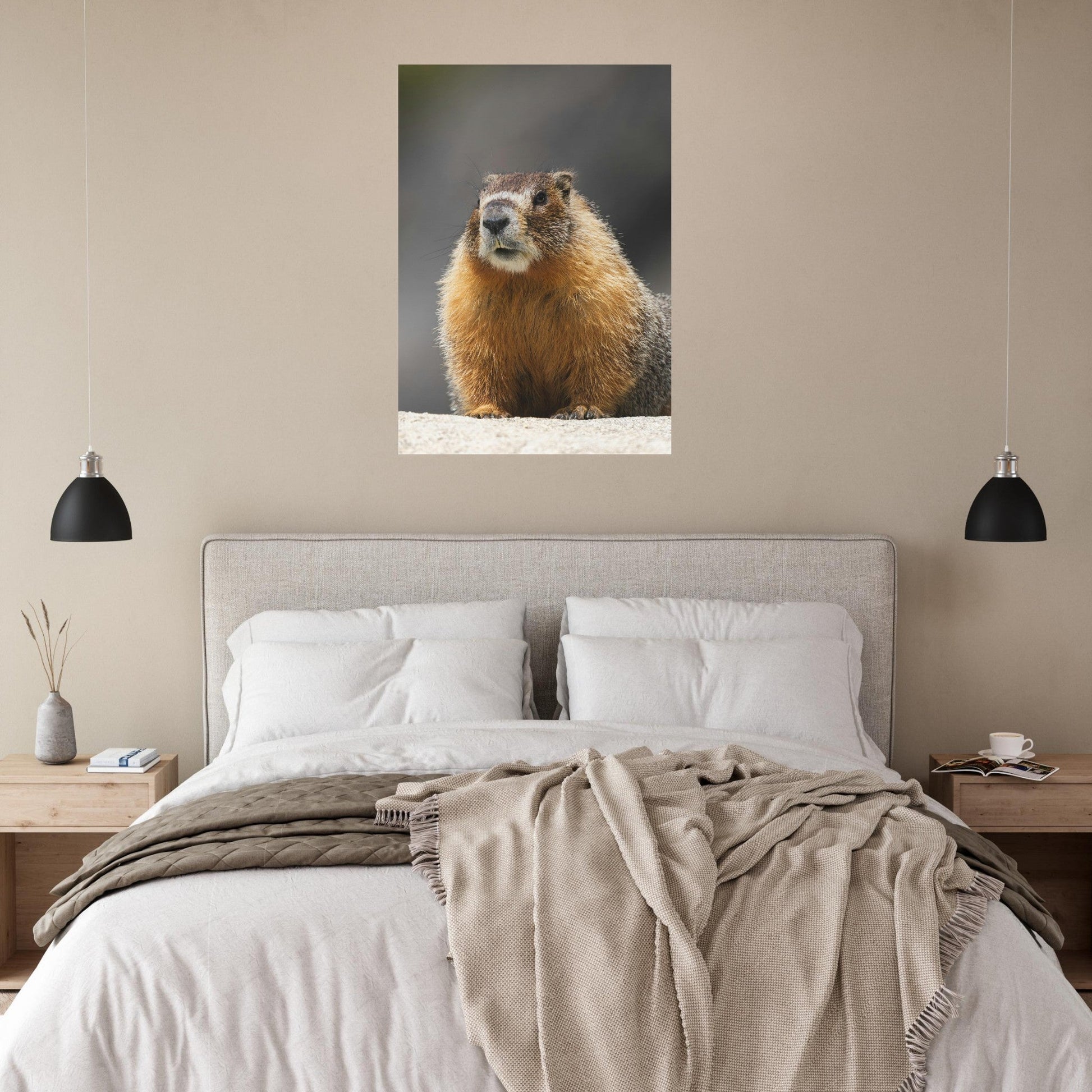 Vente Photo d'une marmotte dans les Alpes #7 - Tableau photo paysage