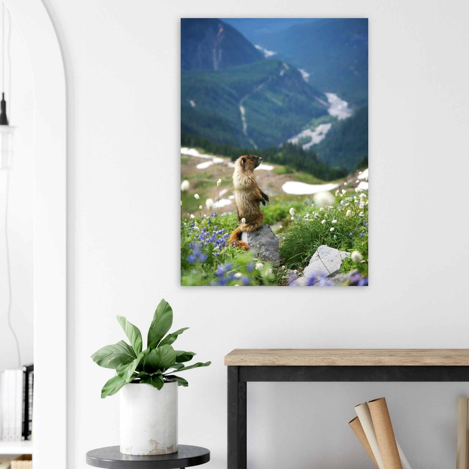 Vente Photo d'une marmotte dans les Alpes #8 - Tableau photo paysage