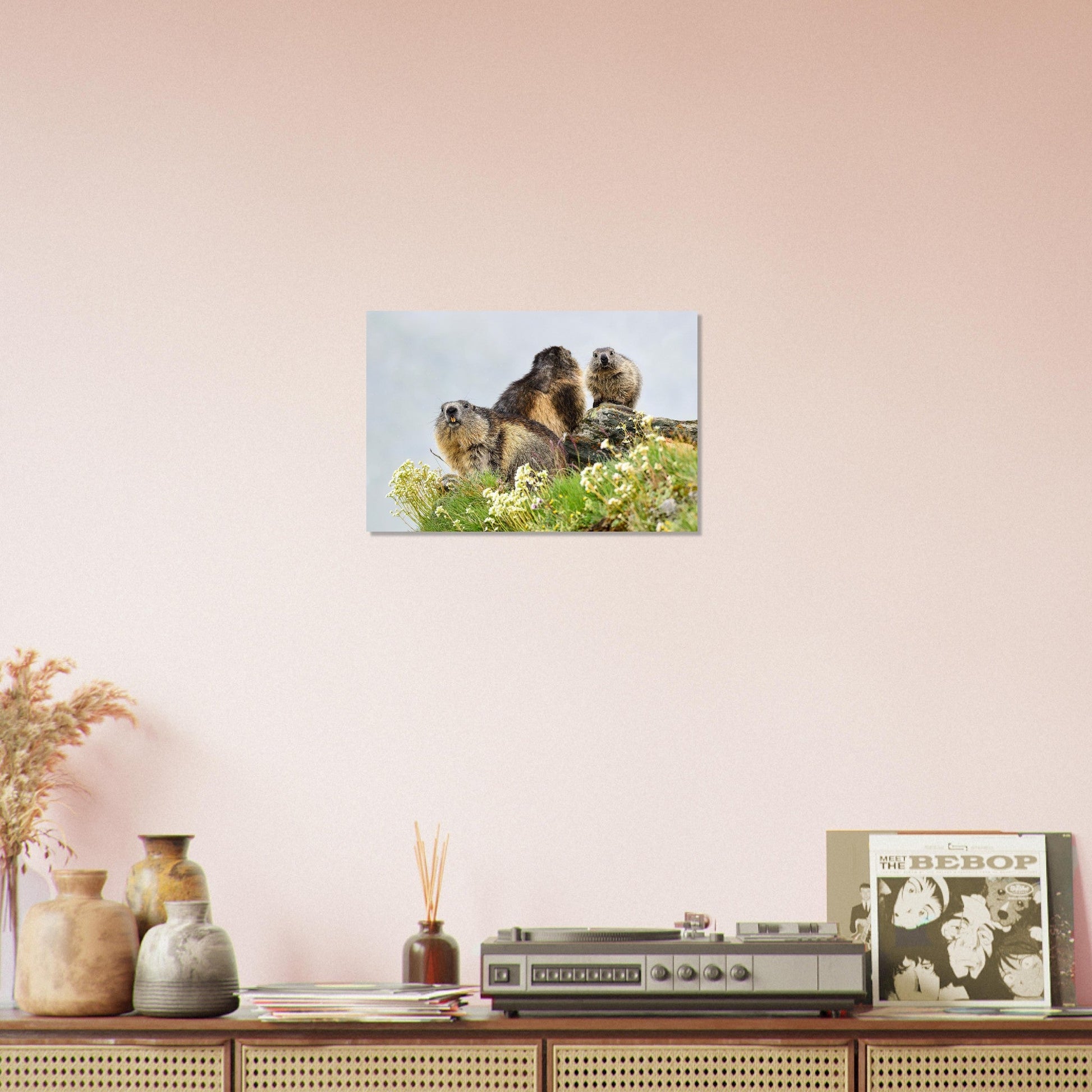 Vente Photo d'une marmotte dans les Alpes #9 - Tableau photo paysage