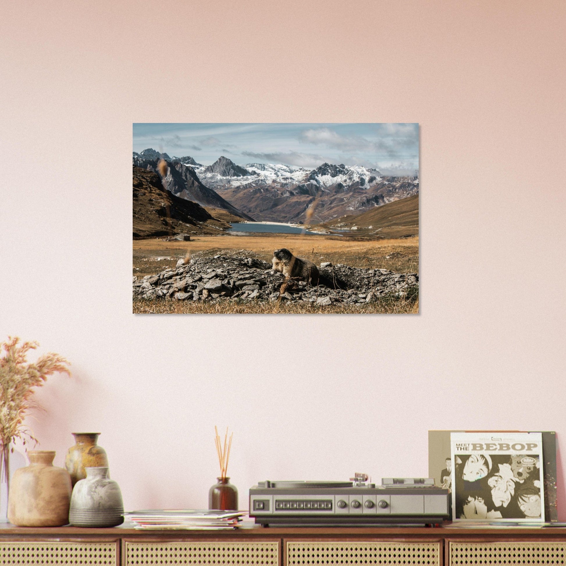 Vente Photo d'une marmotte en automne à Val d'Isère - Tableau photo paysage