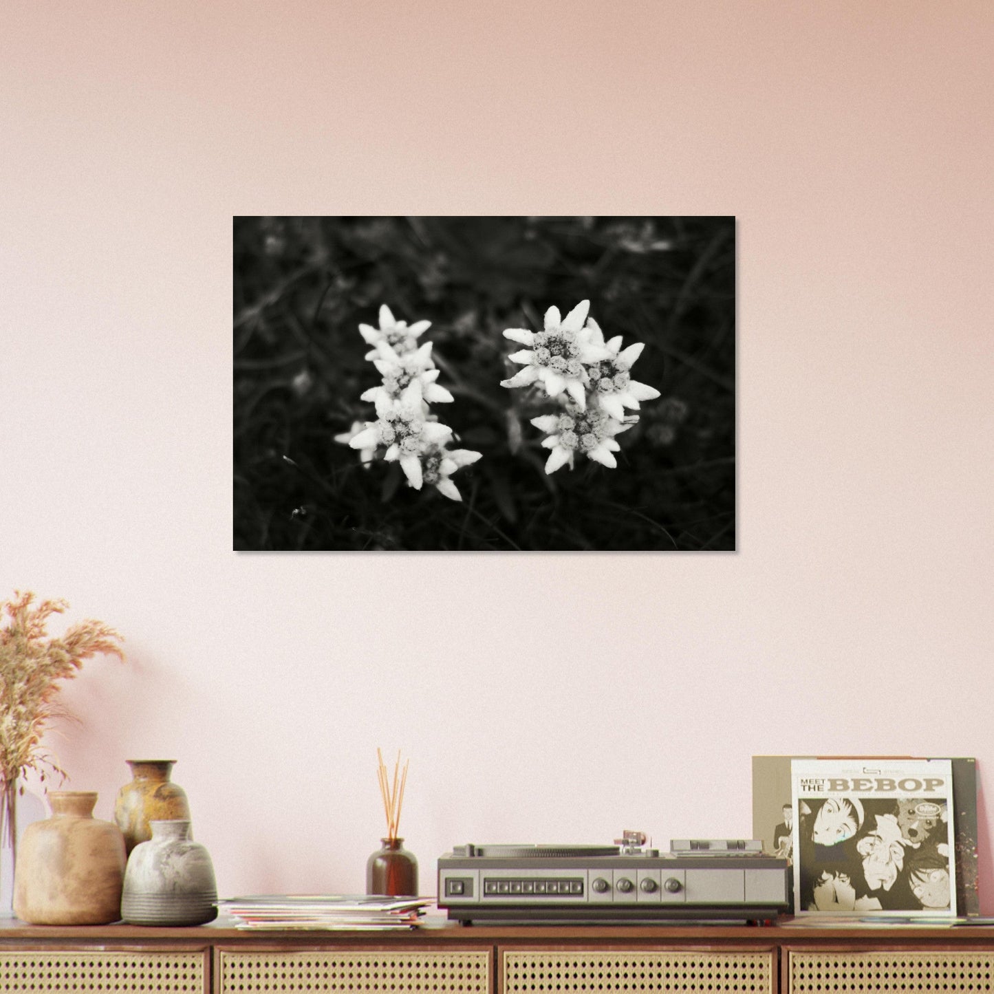 Vente Photo Edelweiss, fleur de montagne #3 - Tableau photo paysage