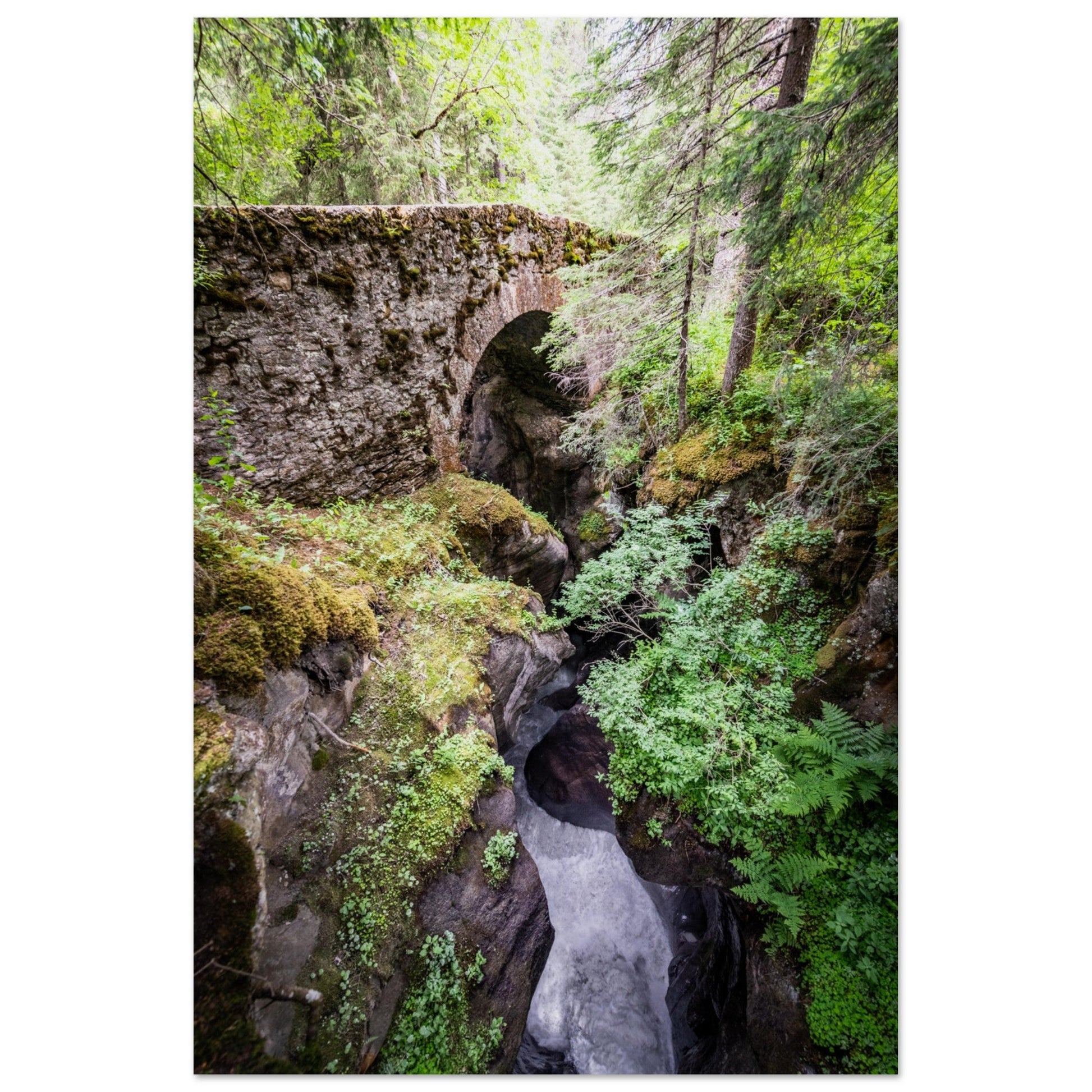 Vente Photo de la forêt enchantée des Contamines-Montjoie en Haute-Savoie - Tableau photo alu montagne