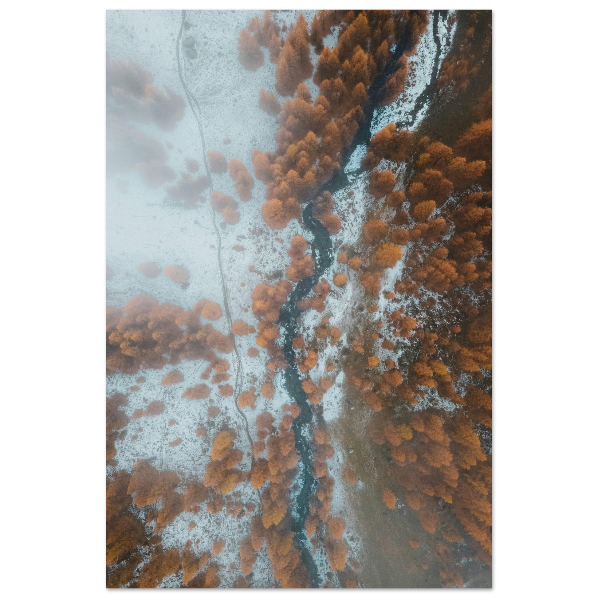 Vente Photo drone de sapins en automne, Massif des Ecrins #2 - Tableau photo alu montagne