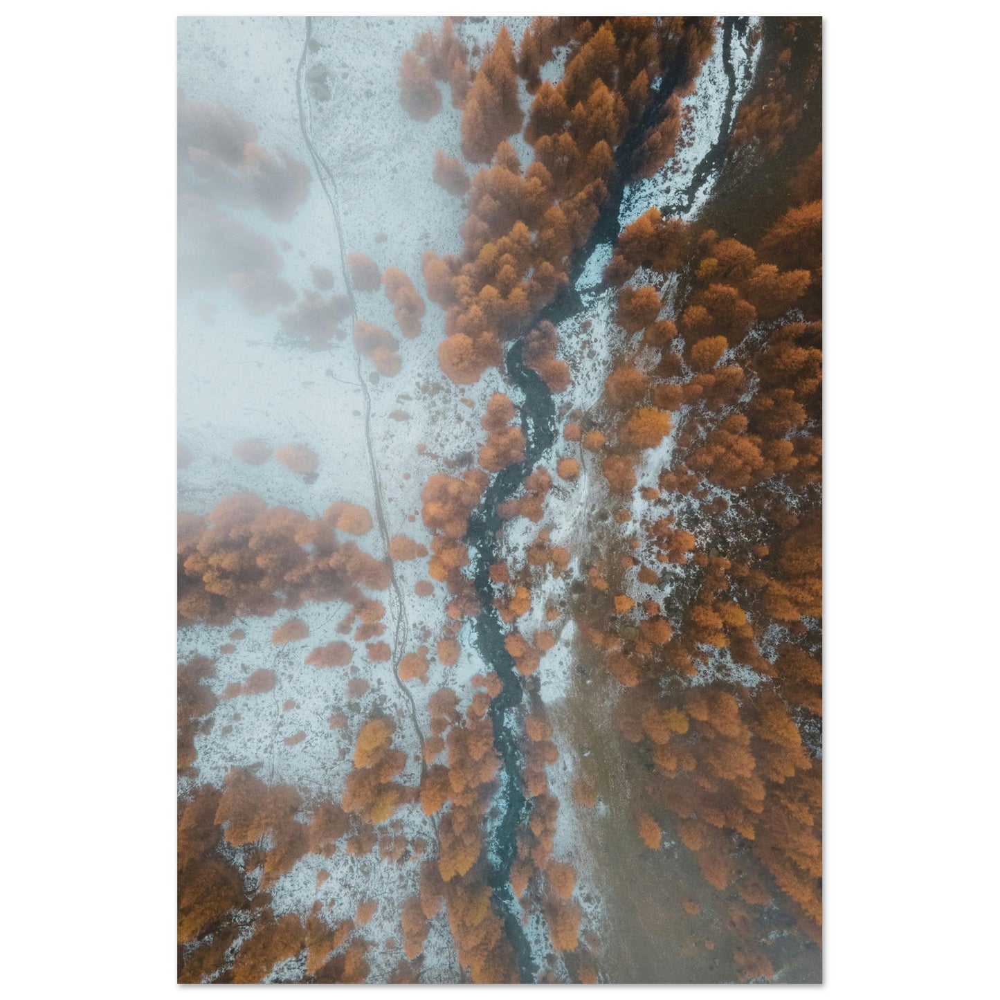 Vente Photo drone de sapins en automne, Massif des Ecrins #2 - Tableau photo alu montagne