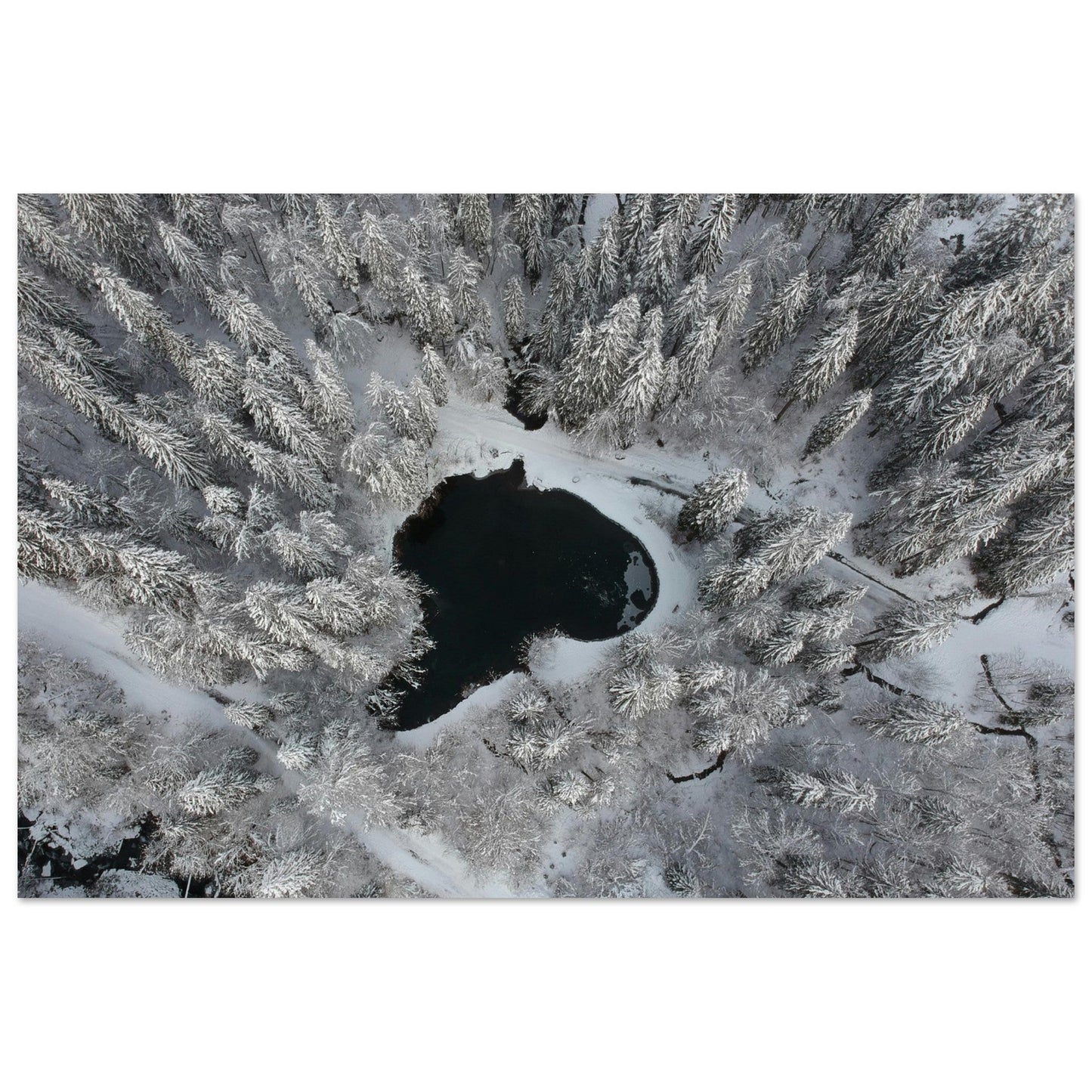Vente Photo drone de sapins enneigés et lac, Cirque du Fer-à-Cheval - Tableau photo alu montagne