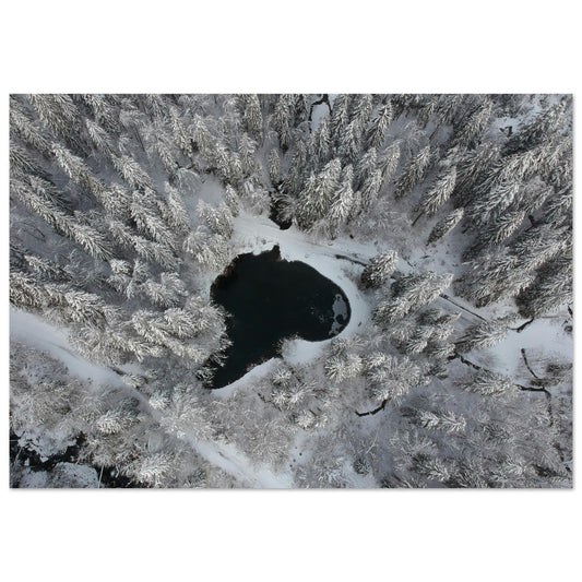 Vente Photo drone de sapins enneigés et lac, Cirque du Fer-à-Cheval - Tableau photo alu montagne