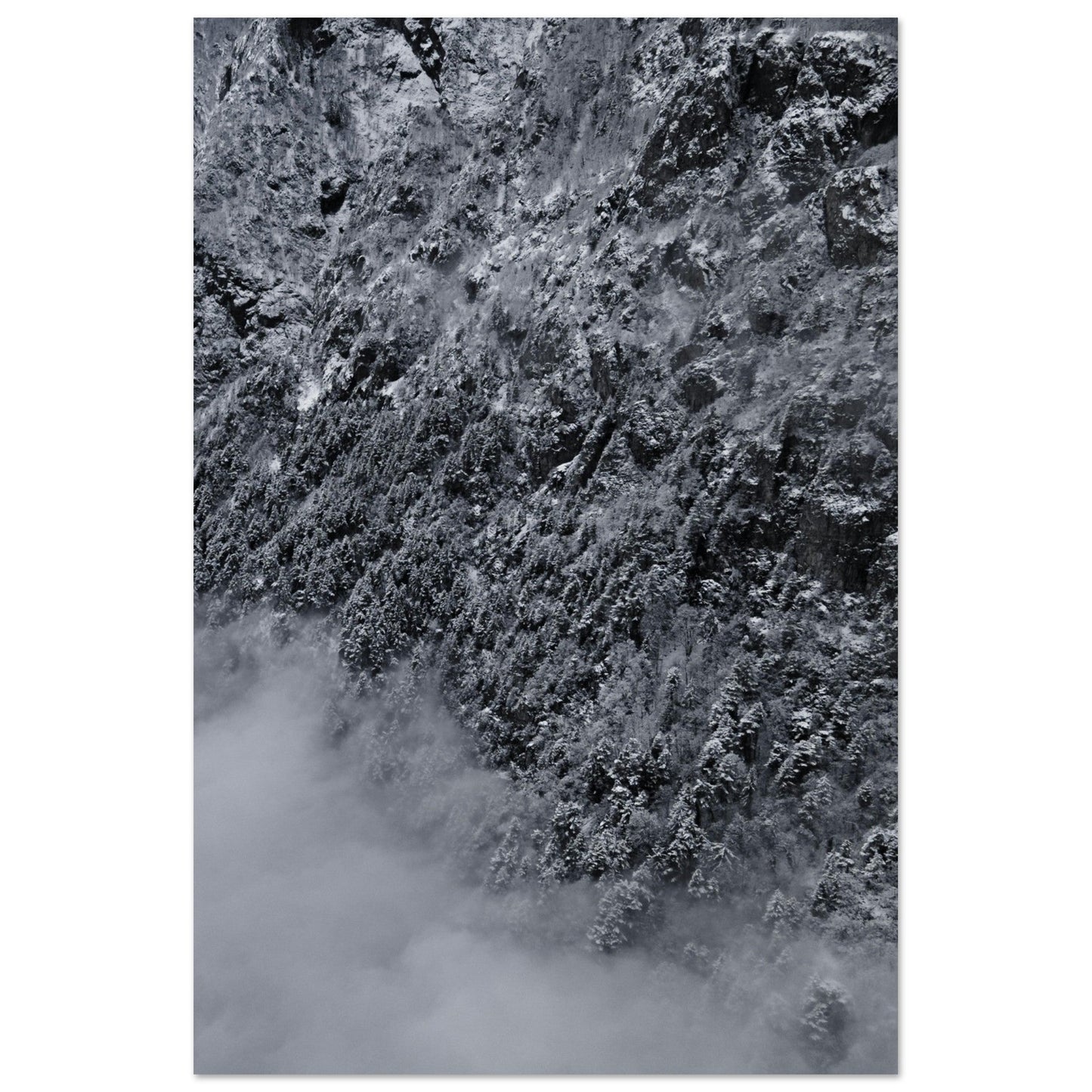 Vente Photo drone de sapins enneigés, Massif des Ecrins #2 - Tableau photo alu montagne