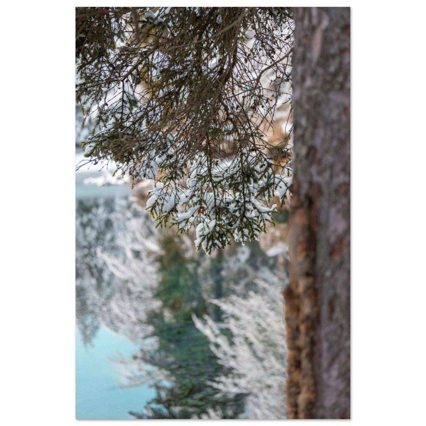 Vente Photo du Lac Vert sous la neige, Passy, Haute Savoie - Tableau photo alu montagne