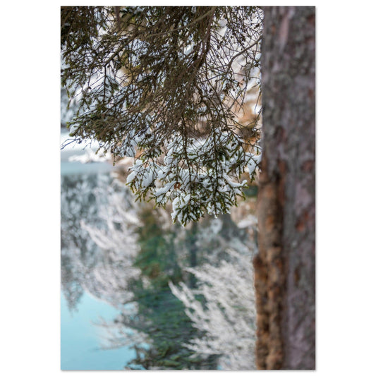 Vente Photo du Lac Vert sous la neige, Passy, Haute Savoie - Tableau photo alu montagne