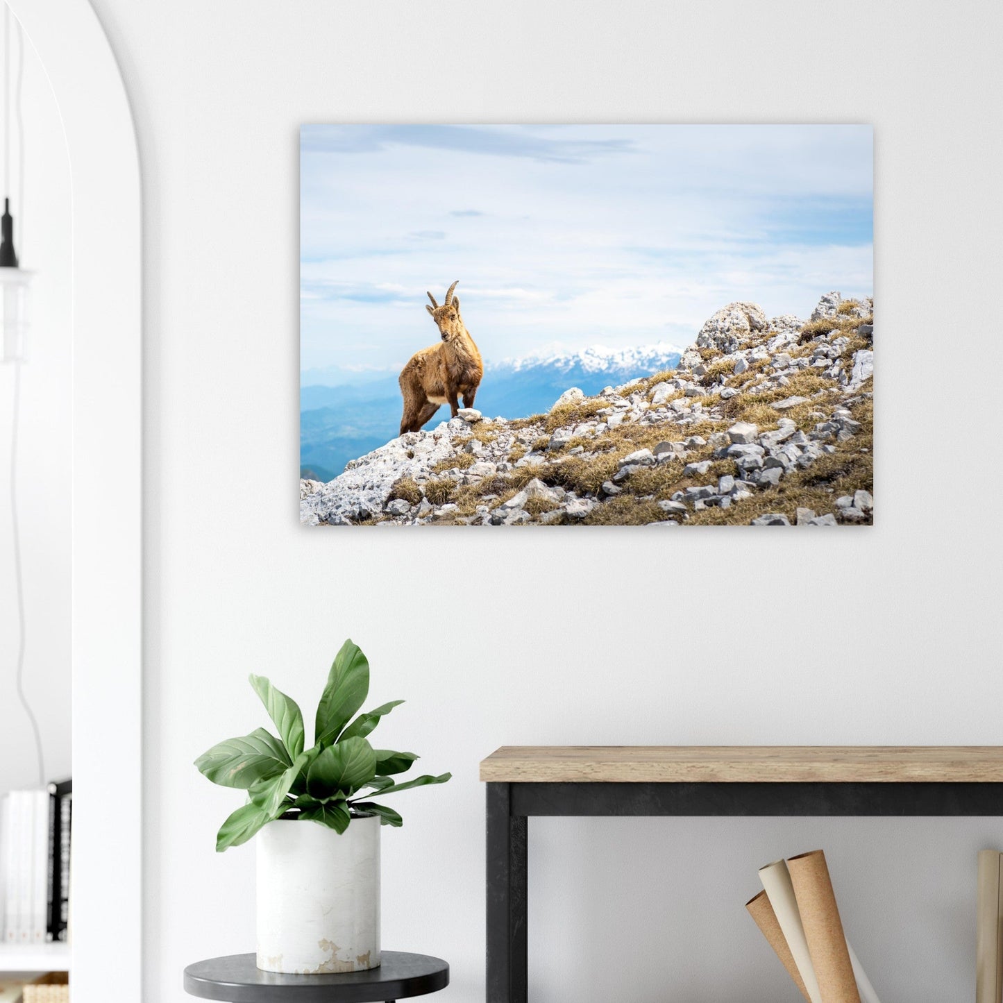 Tableau photo Photo d'un bouquetin au sommet du Grand Veymont, Vercors — tirage aluminium Dibond mat, fabrication française, prêt à accrocher