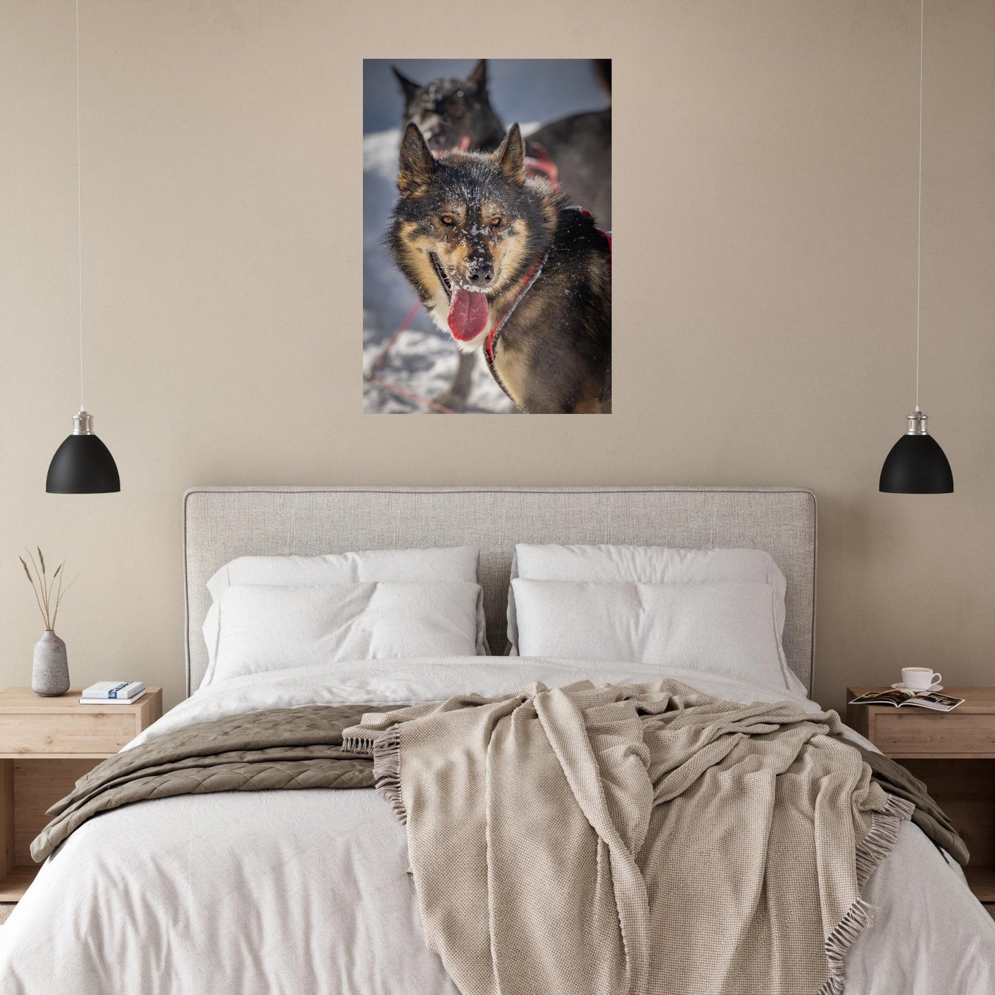 Tableau photo Photo d'un husky - 1 — tirage aluminium Dibond mat, fabrication française, prêt à accrocher