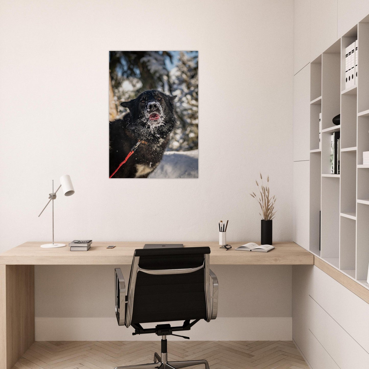 Tableau photo Photo d'un husky - 11 — tirage aluminium Dibond mat, fabrication française, prêt à accrocher