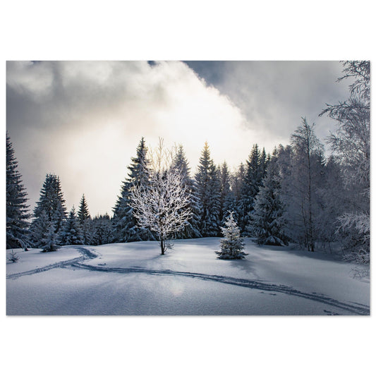 Vente Photo d'un moment magique en hiver - Tableau photo alu montagne