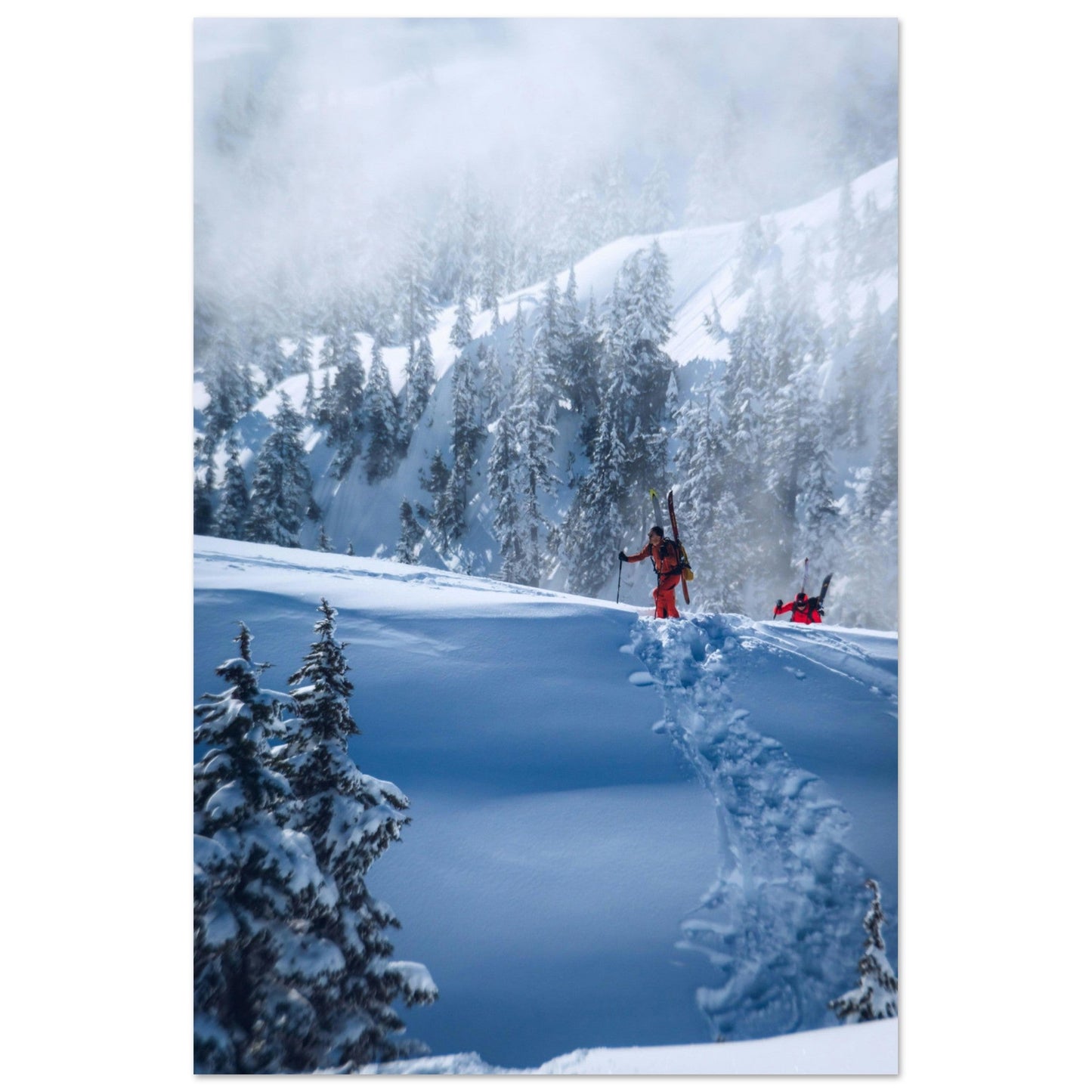 Vente Photo ski de rando en foret dans les Alpes - Tableau photo alu montagne