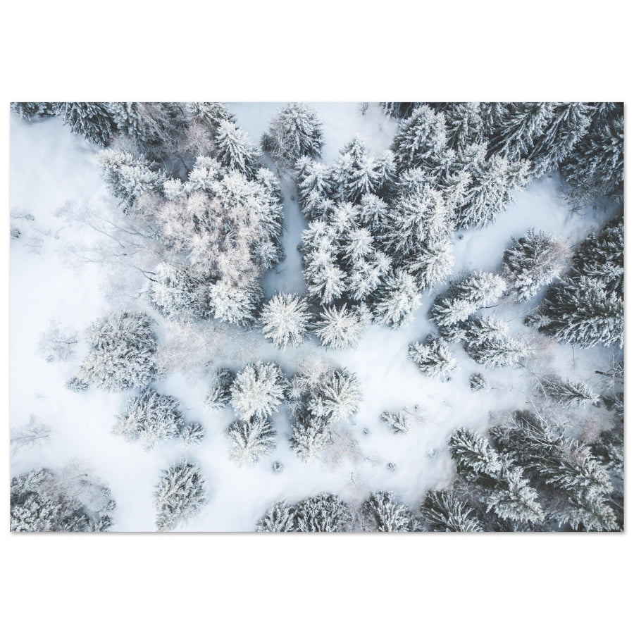 Tableau photo en Alu Dibond : Vue aérienne de sapins en neige