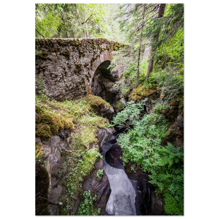 Tableau photo en Alu Dibond : La forêt enchantée des Contamines-Montjoie en Haute-Savoie