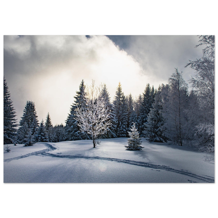 Tableau photo en Alu Dibond : Un moment magique en hiver