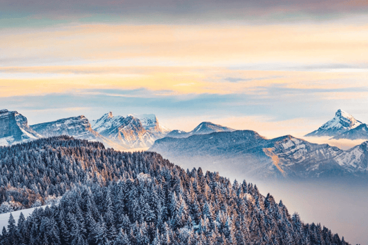 L'univers de la neige et des paysages hivernals de la montagne - Alu Art Mountains