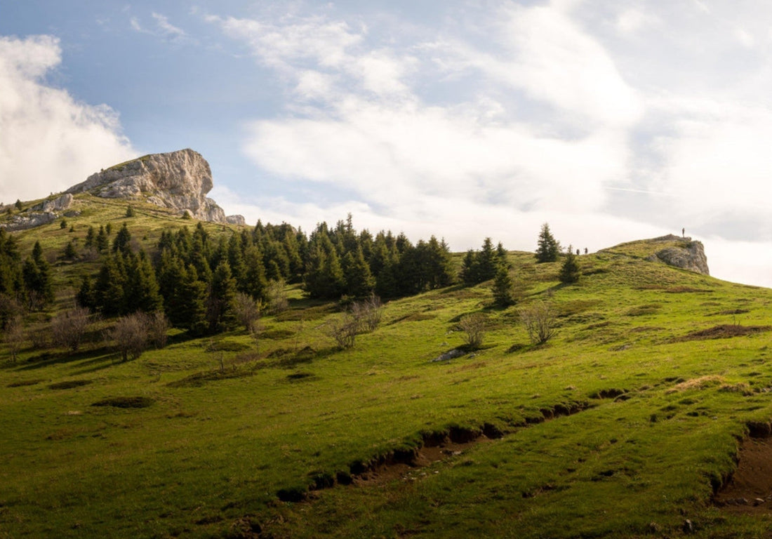 Où photographier le Moucherotte, le Pic Saint-Michel et Villard-de-Lans ? - AluArtMountains