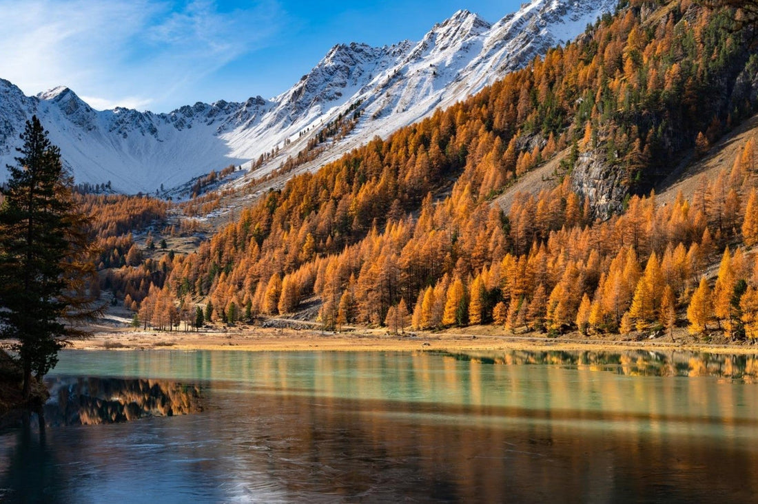 Quel tableau photo d’automne dans les Alpes choisir pour son intérieur ? - AluArtMountains
