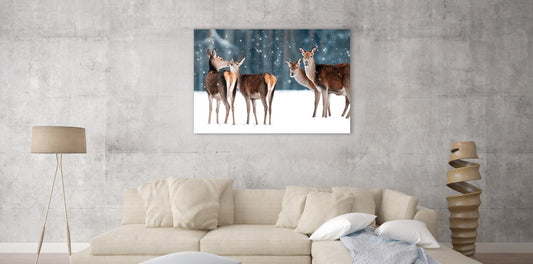 Tableaux photo d’hiver dans les Alpes – Neige, lumière & ambiance de montagne - Tableaux photos paysages ｜ Alu Art Mountains