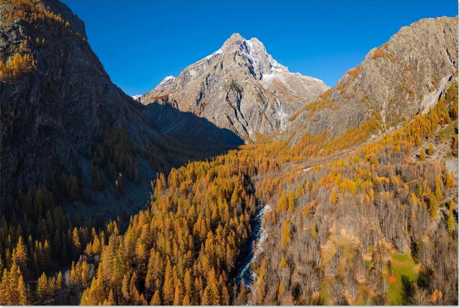 Montagne en automne