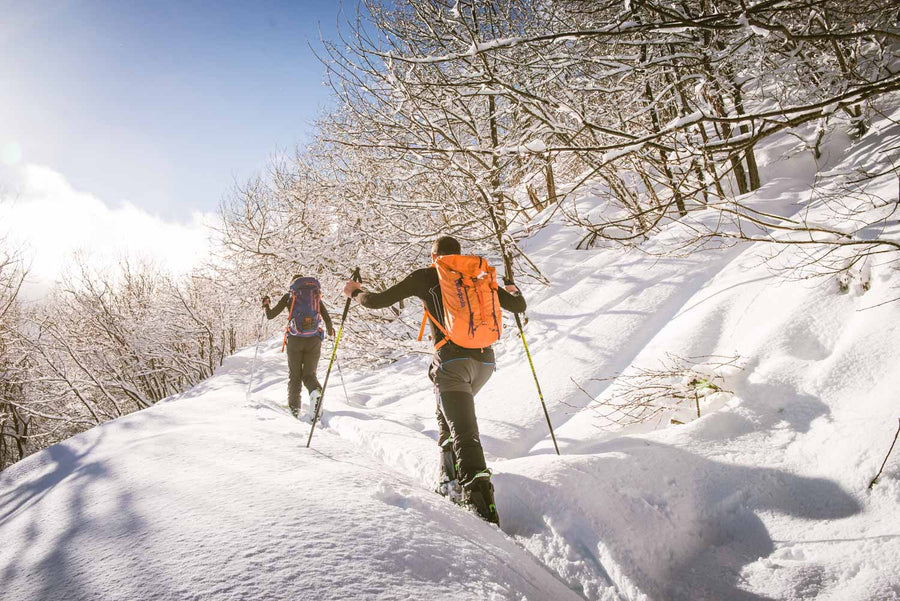 Ski de randonnée
