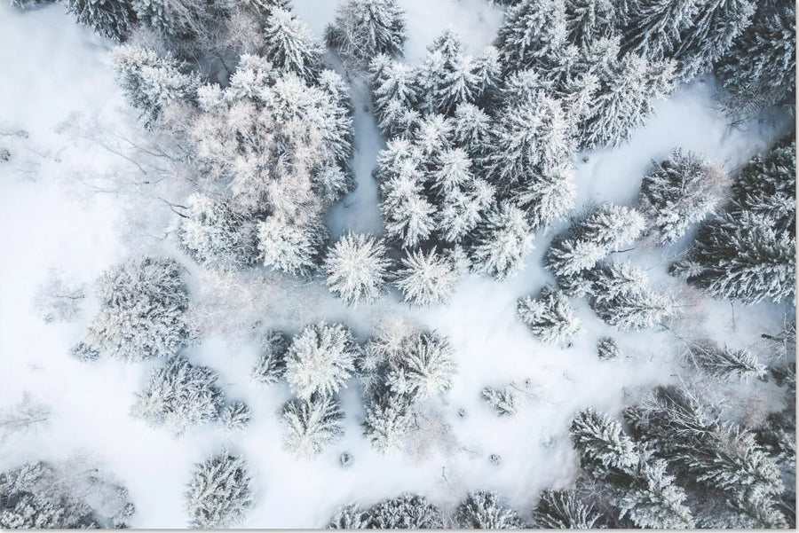Montagne en hiver et sous la neige