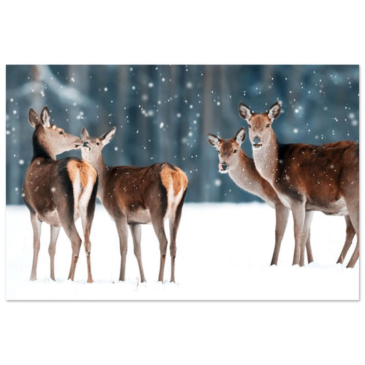 Tableau photo Photo de Biches dans la neige — harde en forêt — tirage aluminium Dibond mat, fabrication française, prêt à accrocher
