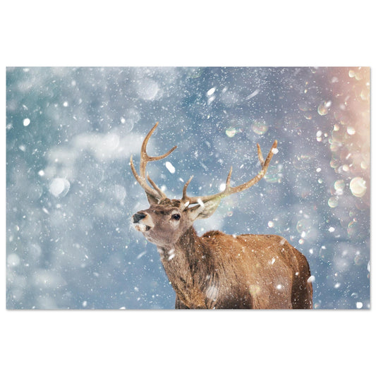 Tableau photo Photo Cerf dans la neige — flocons & bokeh — tirage aluminium Dibond mat, fabrication française, prêt à accrocher