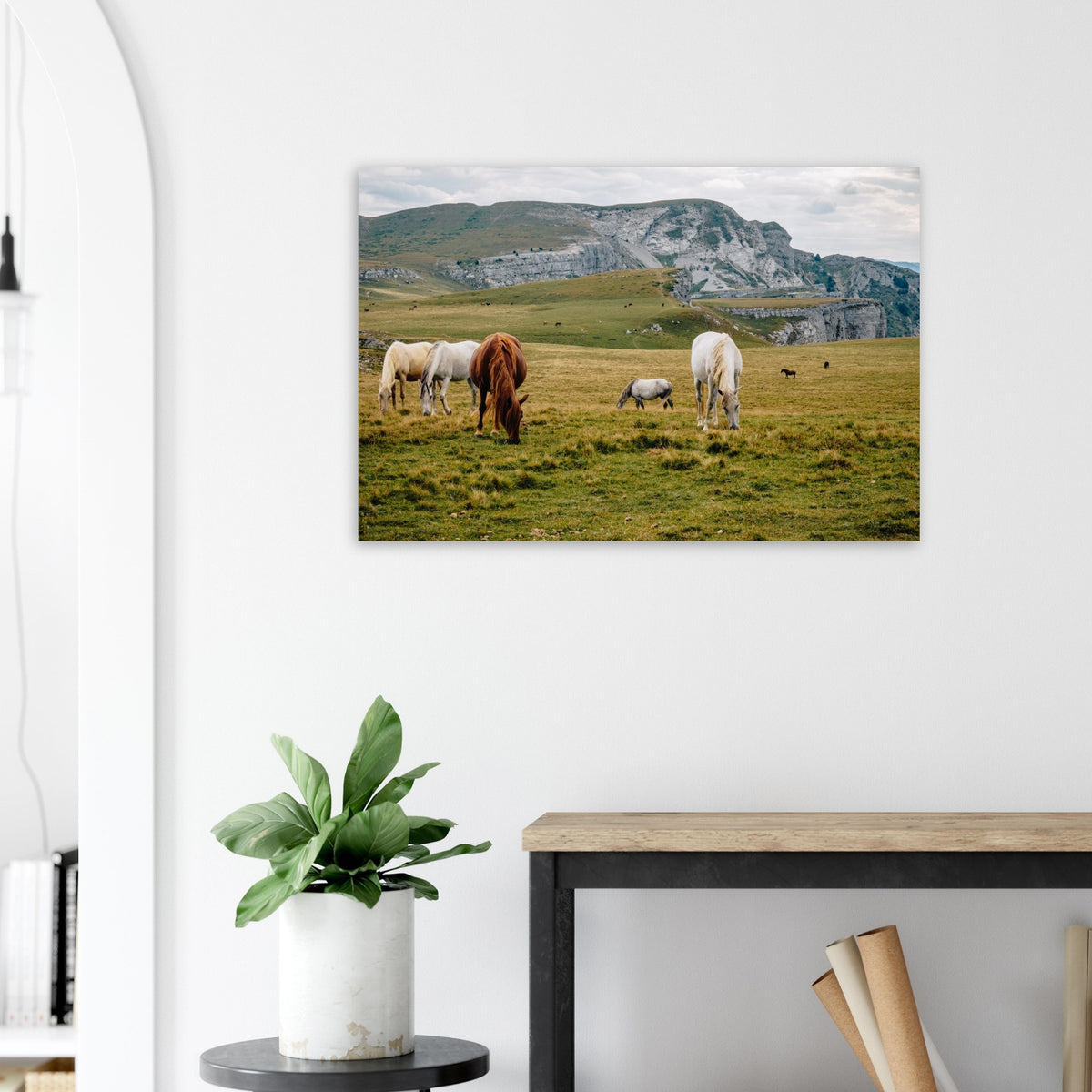 Photo de chevaux dans les alpages de Font d’Urle — Fotodruck auf mattem Alu-Dibond