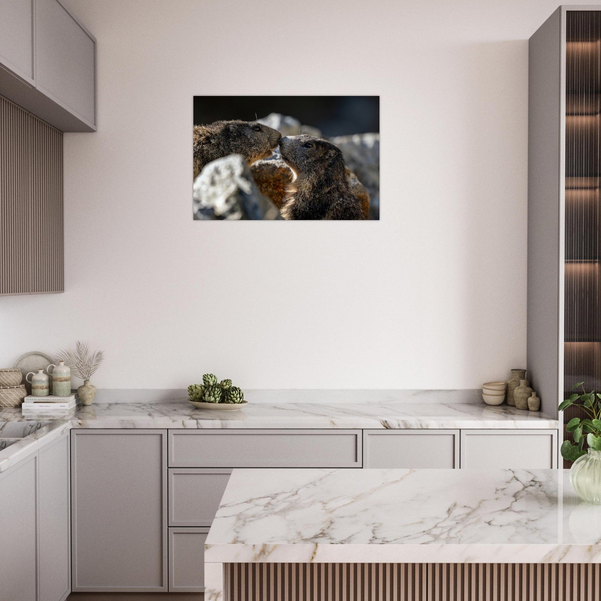 Tableau photo de Deux marmottes des Alpes dans le Mercantour sur aluminium Dibond mat, présenté dans un intérieur