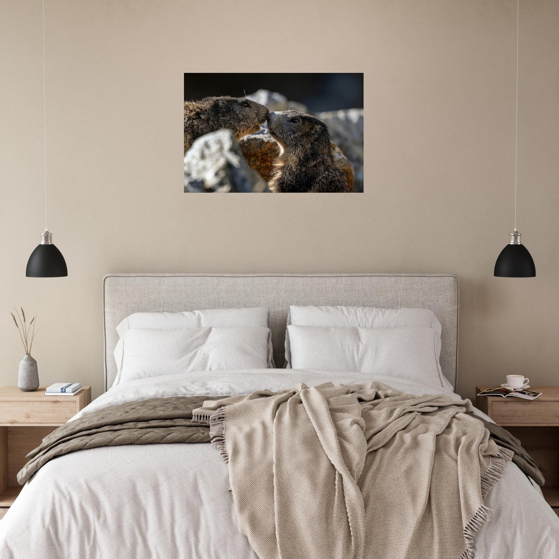 Tableau photo de Deux marmottes des Alpes dans le Mercantour sur aluminium Dibond mat, accroché sur un mur clair