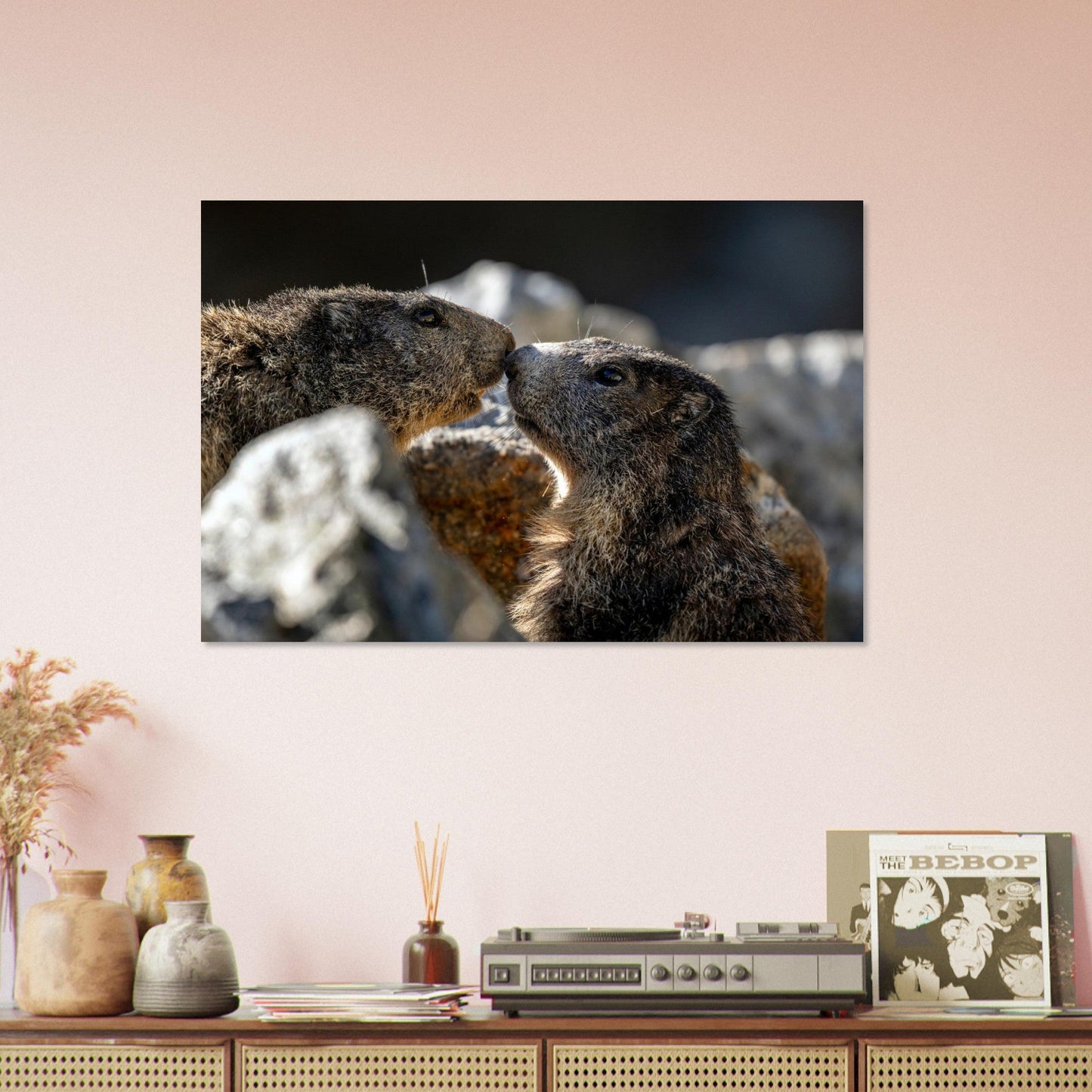 Tableau photo de Deux marmottes des Alpes dans le Mercantour sur aluminium Dibond mat, présenté dans un espace de travail